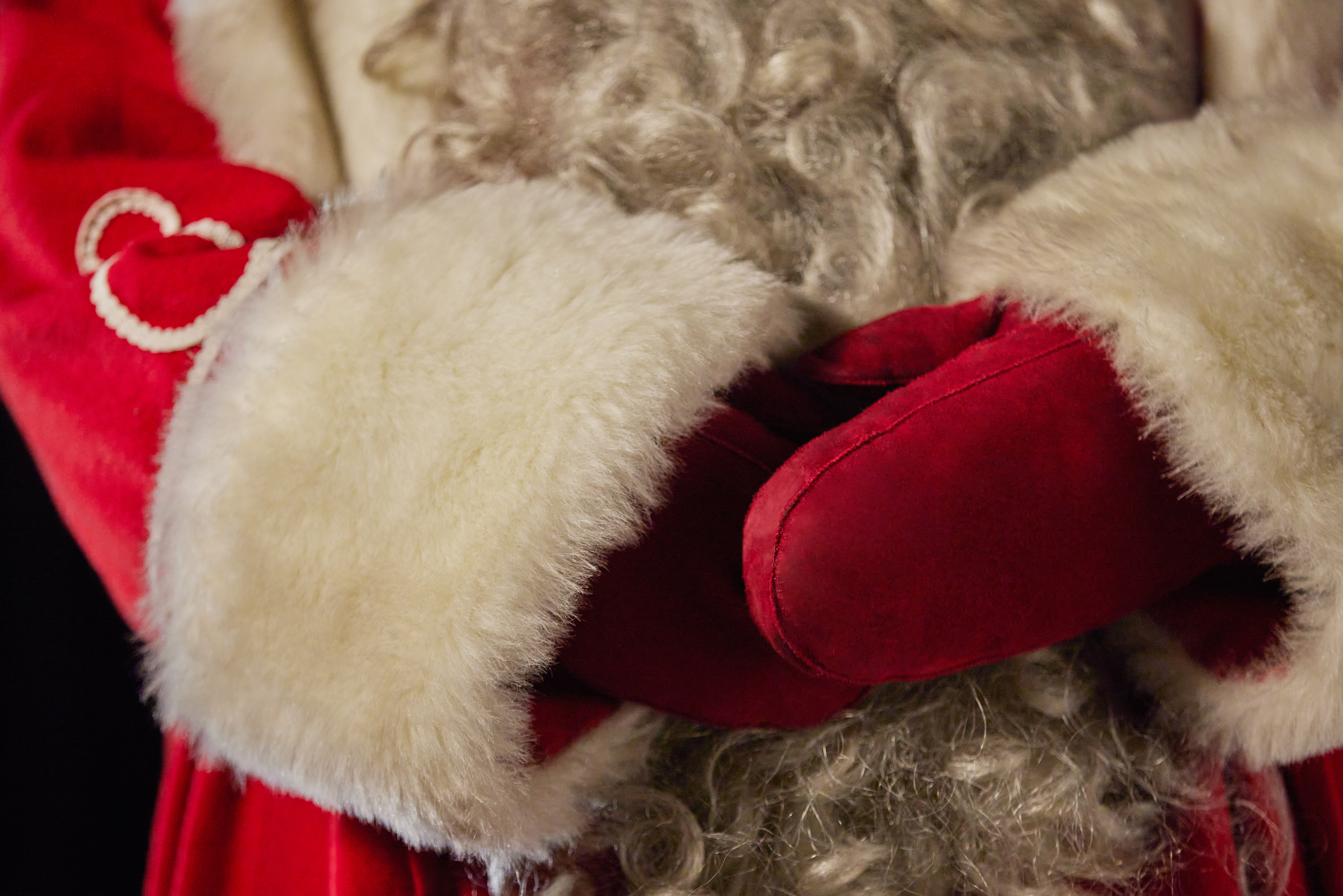 The Santa's Lapland Chronicles