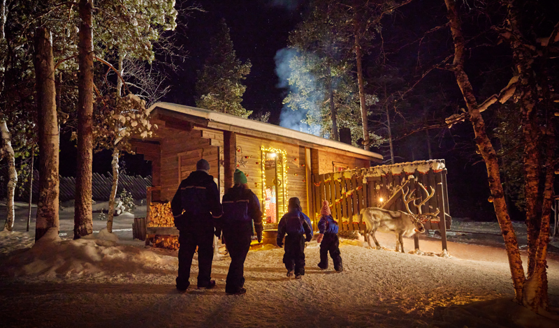 starry night over the Lapland forest